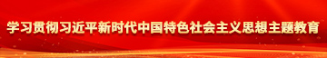 屄.com学习贯彻习近平新时代中国特色社会主义思想主题教育